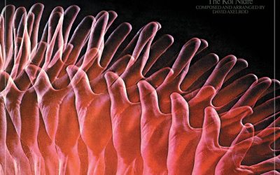 RELEASE OF AN OATH (1968) – ELECTRIC PRUNES