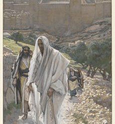 IL MOSAICO DELLE CORRENTI EBRAICHE AL TEMPO DI GESÙ