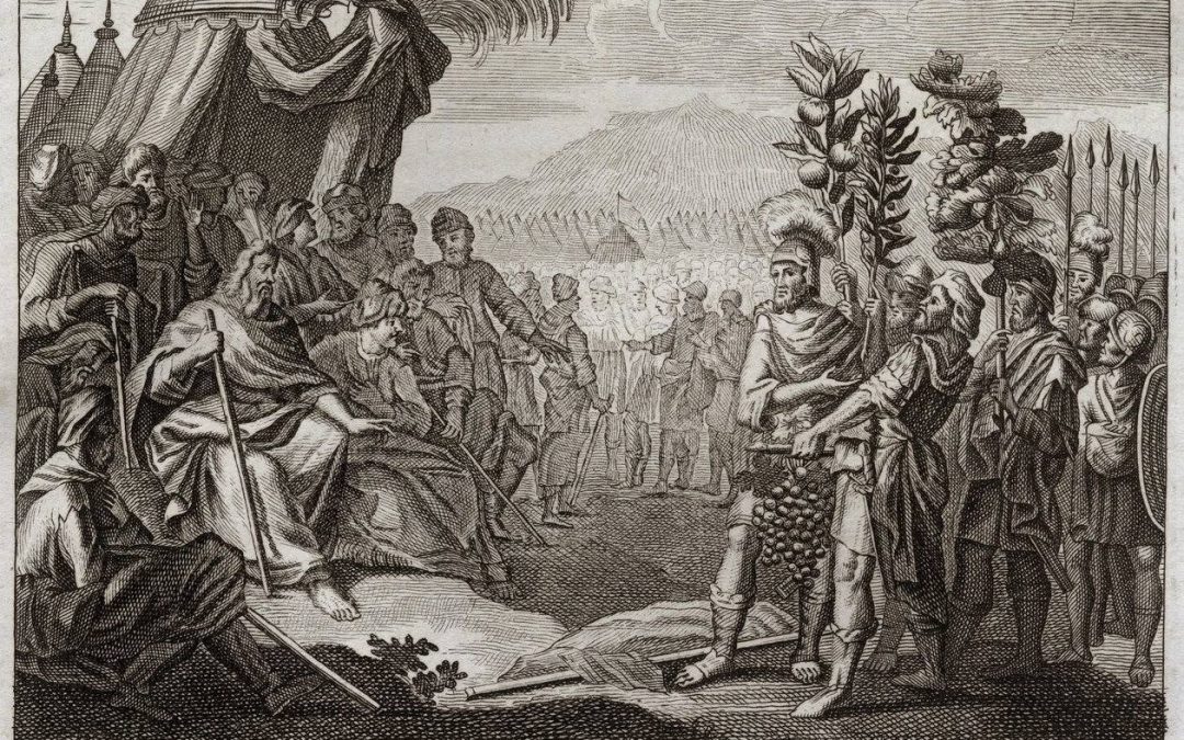 LO SGUARDO DELLE CAVALLETTE. Una lettura della parasha Shelach Lecha
